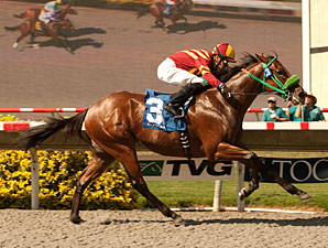 Native Treasure wins the 2012 I'm Smokin Stakes.