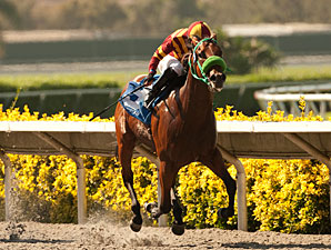 Native Treasure wins the 2012 I'm Smokin Stakes.