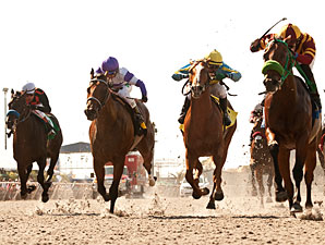 Native Treasure wins the 2012 I'm Smokin Stakes.