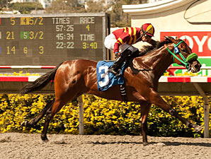 Native Treasure wins the 2012 I'm Smokin Stakes.