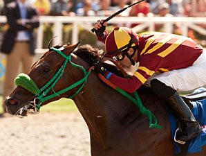 Native Treasure wins the 2012 I'm Smokin Stakes.