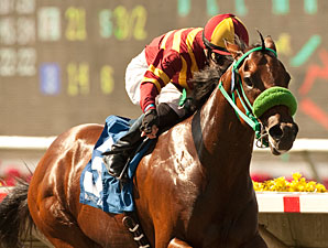 Native Treasure wins the 2012 I'm Smokin Stakes.