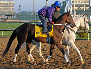 Nehro - Churchill Downs, May 5, 2011