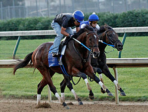 Nehro works towards the Belmont.