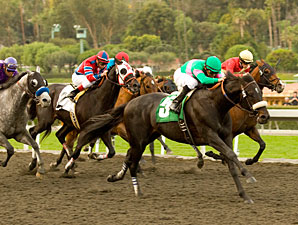 Neko Bay wins the 2010 San Pasqual.