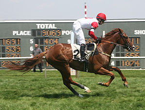 Network News wins the Sport of Kings Maiden Hurdle, June 25, 2013.