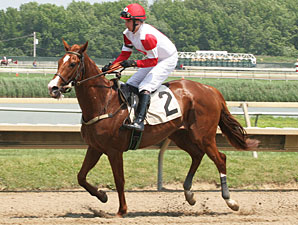 Network News wins the Sport of Kings Maiden Hurdle, June 25, 2013.