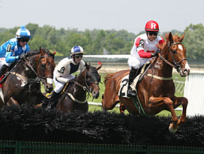 Network News wins the Sport of Kings Maiden Hurdle, June 25, 2013.