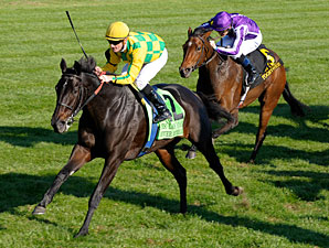 Never Retreat wins the 2011 First Lady.