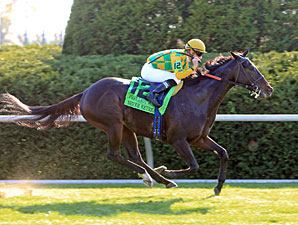 Never Retreat wins the 2011 First Lady.