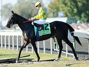Never Retreat wins the 2011 First Lady.