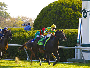 Never Retreat wins the 2011 First Lady.