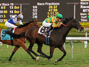 Never Retreat wins the 2011 Honey Fox.
