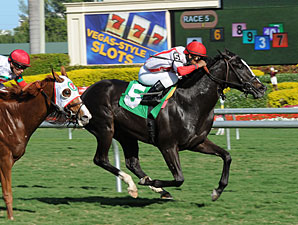 News Pending - Maiden Win, December 22, 2011.