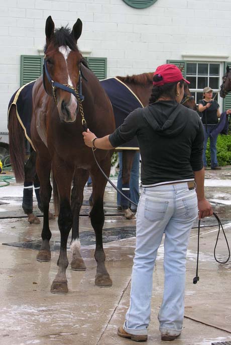 Nicanor awaiting his bath.