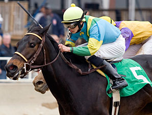 Nicks wins the 2010 Governors Lady Handicap.