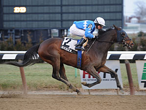 Nicole H wins the 2013 Interborough Stakes.