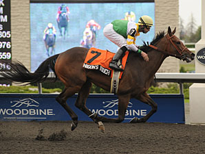 Niigon's Touch wins the 2011 Eternal Search.