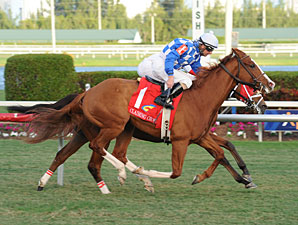 Nikki's Sandcastle wins the 2012 Claiming Crown Emerald.