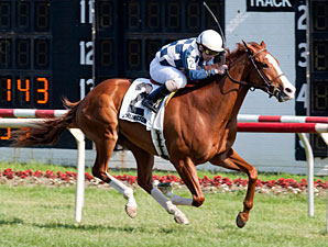 Nikki's Sandcastle wins the 2012 Sea O'Erin.