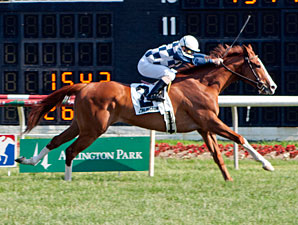Nikki's Sandcastle wins the 2012 Sea O'Erin.