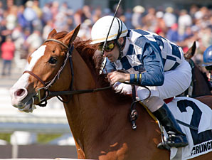 Nikki's Sandcastle wins the 2012 Sea O'Erin.