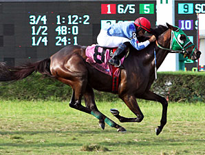 Nineinthenine win in the 2012 Tropical Starter Series.