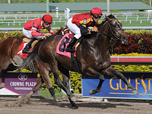 Ninja Blade Maiden Win, December 10, 2011