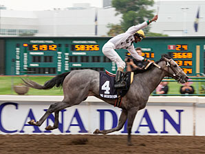 No Hesitation wins the 2010 Canadian Derby.