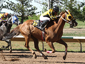 No It Aint wins the Arapahoe Park Sprint.