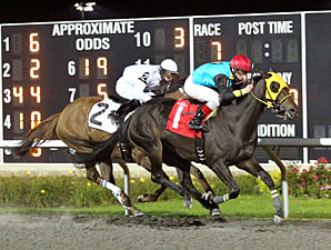 Noble Charlotte wins the 2012 H.B.P.A. Stakes.