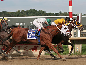 Noble Maz wins the 2011 Mr. Jenney.
