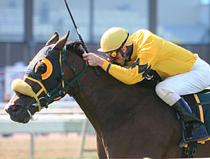 Noble Maz wins the 2010 Mrs. Penny Stakes.