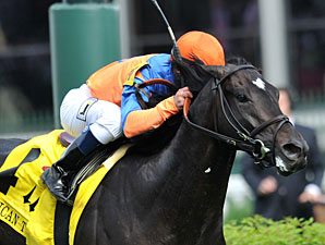 Noble Tune wins the 2013 American Turf Stakes.