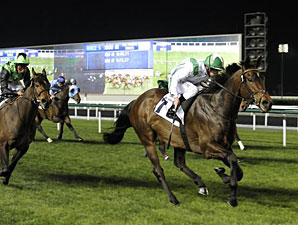 Nocturnal Affair wins the 2012 Al Naboodah Construction Group.