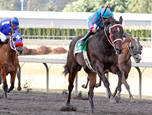 Noosa Beach wins the 2010 Longacres Mile.