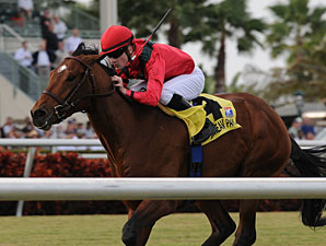 Nordic Truce wins the 2010 Dania Beach.