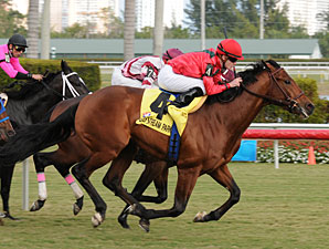 Nordic Truce wins the 2010 Dania Beach.