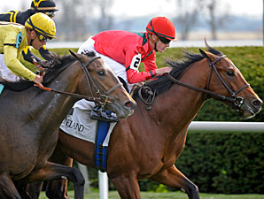 Nordic Truce wins the 2010 Transylvania.