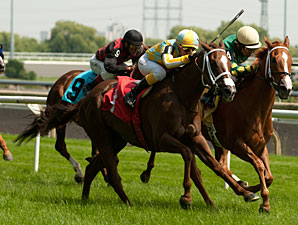 Northern Passion wins the 2013 Zadracarta Stakes.