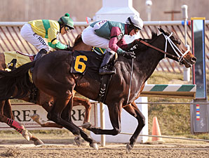 Northern Station wins the 2010 Nellie Morse.