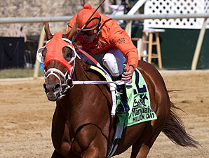Northpoint Costas wins the 2010 Maryland Million Starter.
