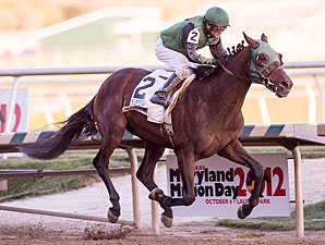 Not Abroad wins the 2012 Maryland Million Classic.