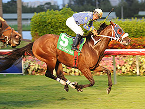 Notyouraveragejoe wins the 2013 Juvenile Turf Stakes.