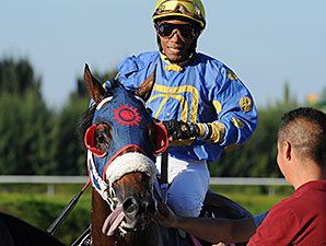 Notyouraveragejoe wins the 2014 Showing Up Stakes.