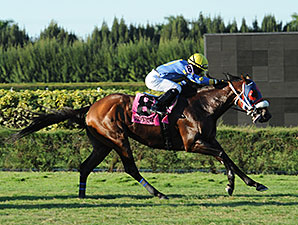 Notyouraveragejoe wins the 2014 Showing Up Stakes.