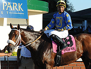 Notyouraveragejoe wins the 2014 Showing Up Stakes.