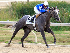Now I Know wins the 2011 Delta Downs Princess.