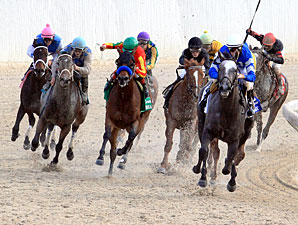 Now I Know wins the 2011 Delta Downs Princess.