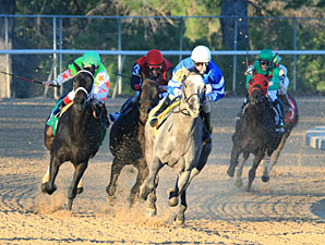 Now I Know wins the 2012 Dixie Belle Stakes.